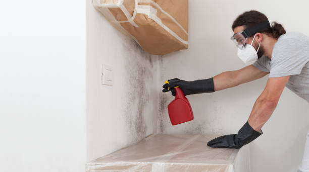 Professional Crawl Space Mold Remediation technician working in Mahwah, NJ